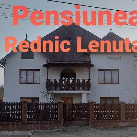 Giulesti Pensiunea Rednic Lenuta מראה חיצוני תמונה